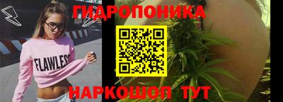 дмт Тверь